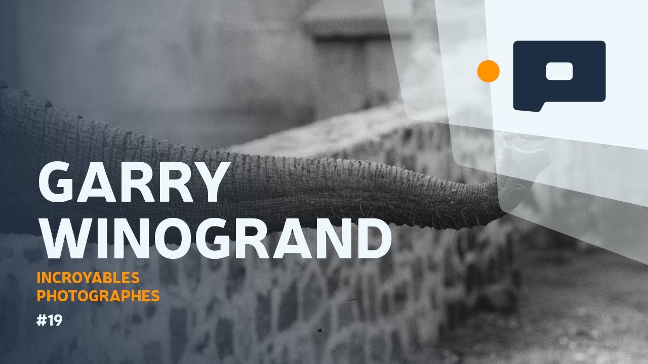 📷Des animaux et des hommes avec Garry Winogrand - Incroyables Photographes #19