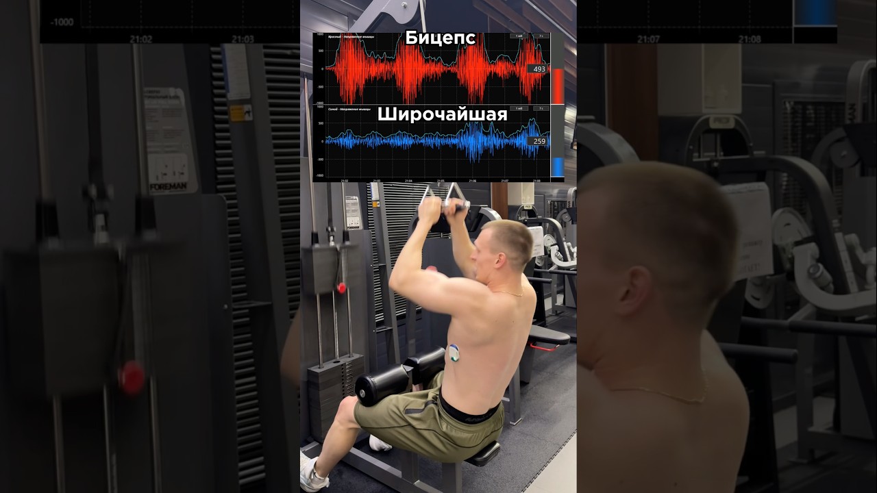 Широчайшие по науке.За персональным планом обращаться в телеграмм:@TrainerSmirnoVV 🤝