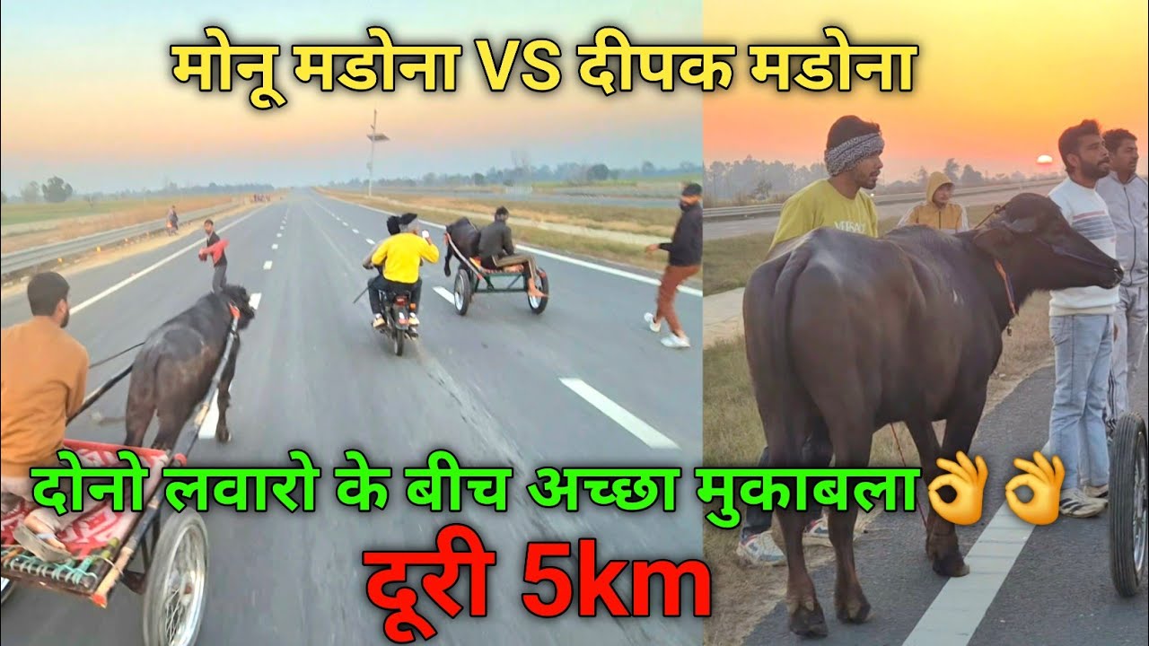 मोनू मडोना VS दीपक मडोना🔥दोनो लवारो के बीच अच्छा मुकाबला👌👌प्यार का हुआ मैच 👌👌