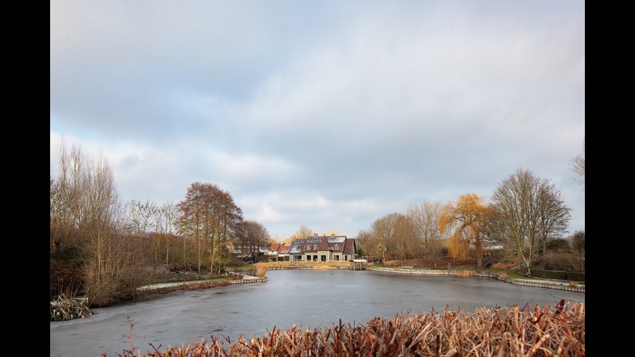 TE KOOP: Uitzonderlijk domein van ca 1,2 ha op unieke locatie te Waasmunster