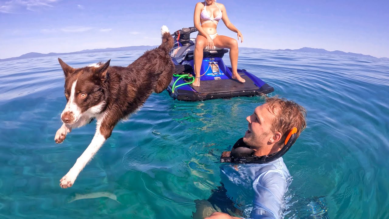 Живу за счет даров океана со своими двумя лучшими друзьями! 🐶 💃🏼 🌊