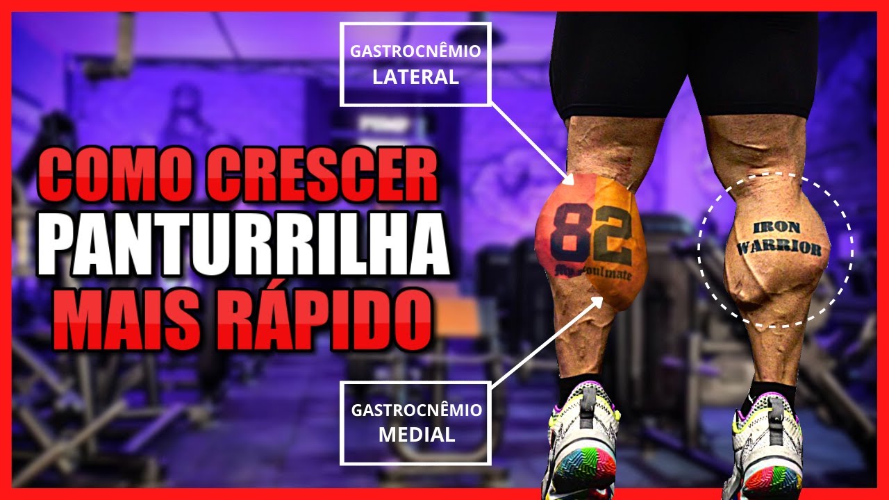 COMO CRESCER PANTURRILHA MAIS RÁPIDO [TREINO COMPLETO]