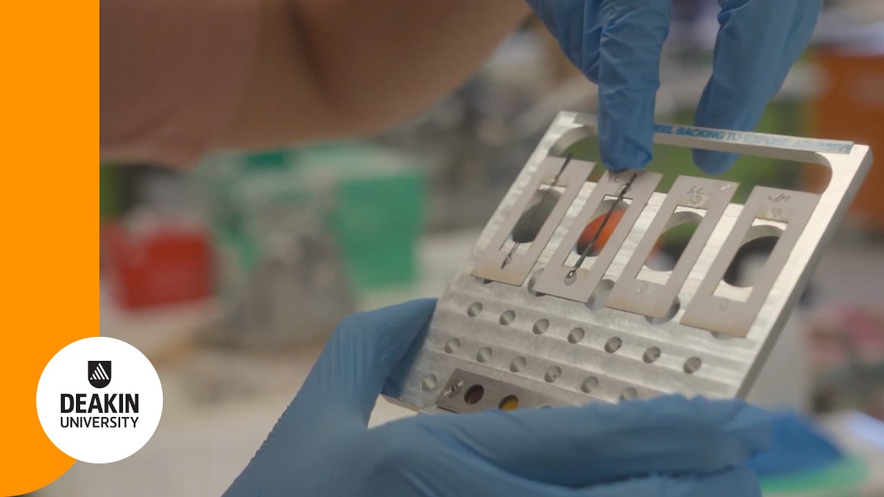 How in-situ x-rays reveal what materials do under stress | Meet the Scientist