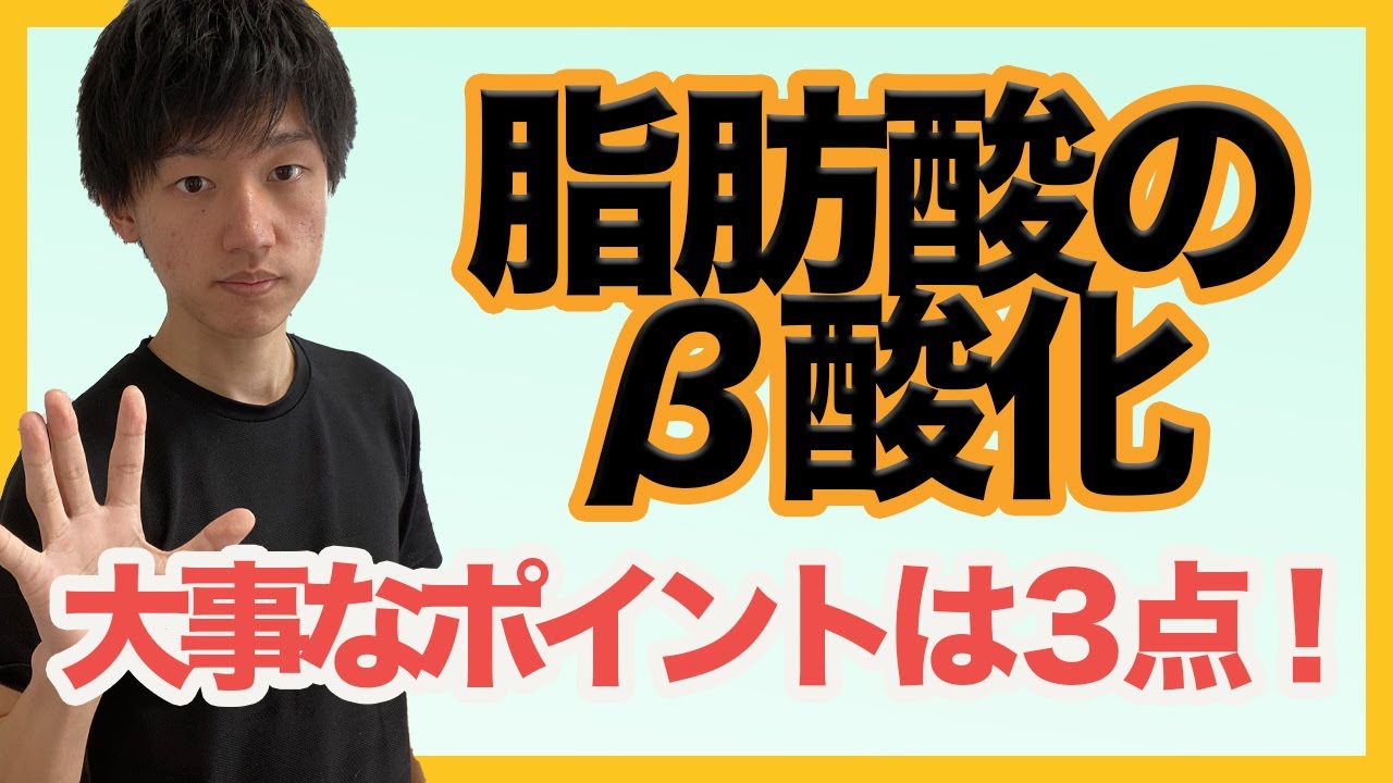 【脂肪酸のβ酸化】絶対理解すべきポイントはたったの３つ！エネルギー代謝を得点源にしよう！
