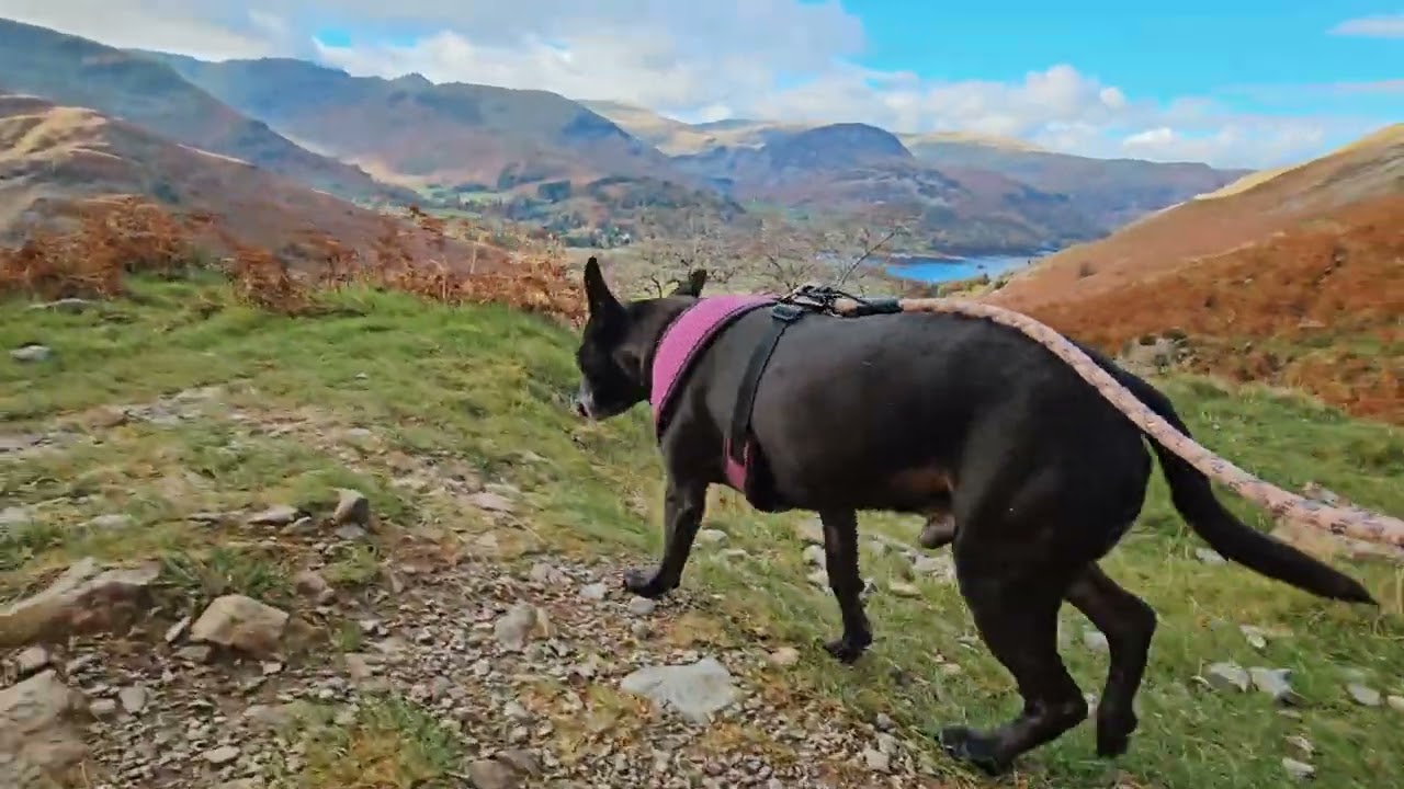 Angletarn pikes and Brock crags