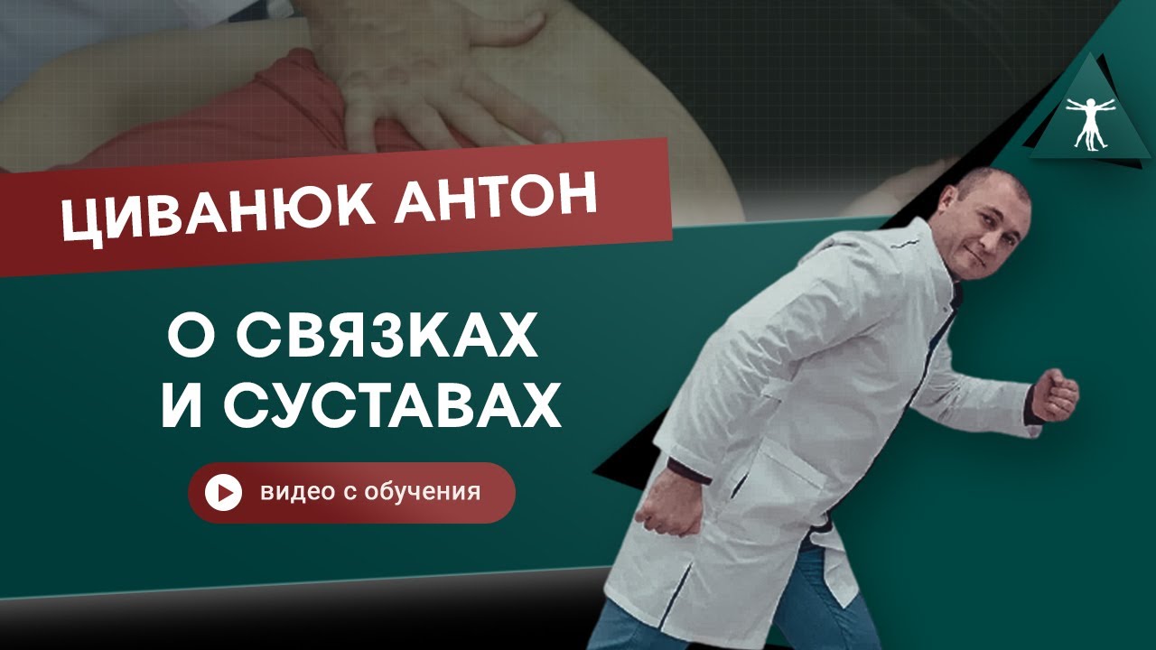 Анатомические поезда. Связки и суставы. Циванюк Антон