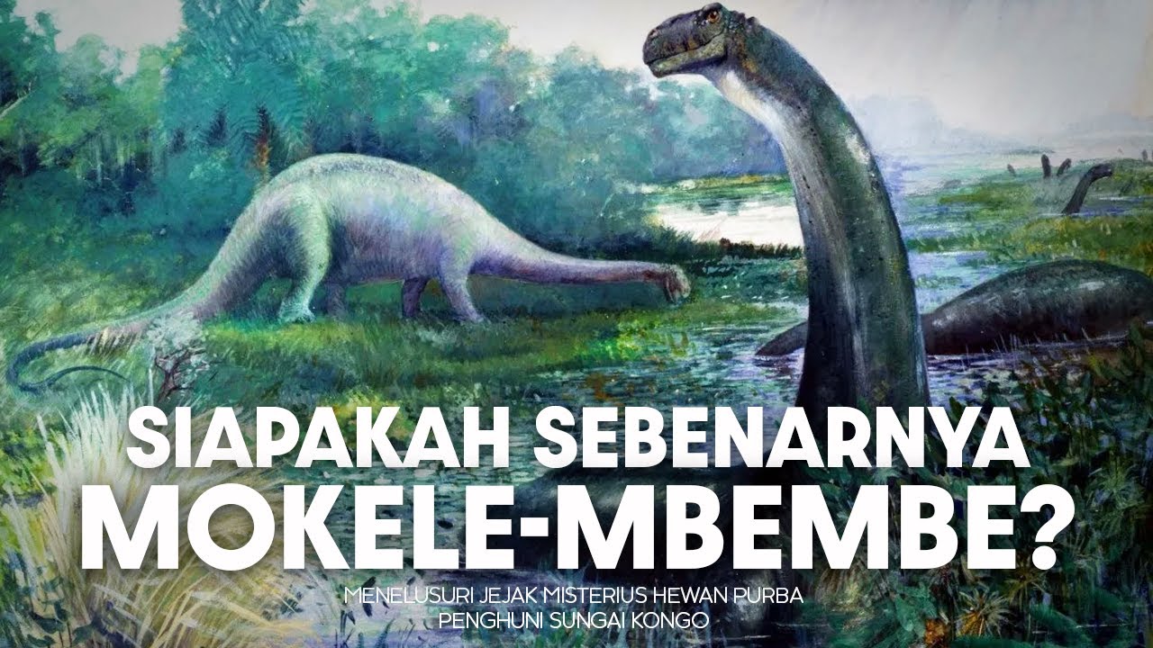 Bagaimana Hewan Purba Ini Bersembunyi di Sungai Kongo? | #BelajarDuniaPurba