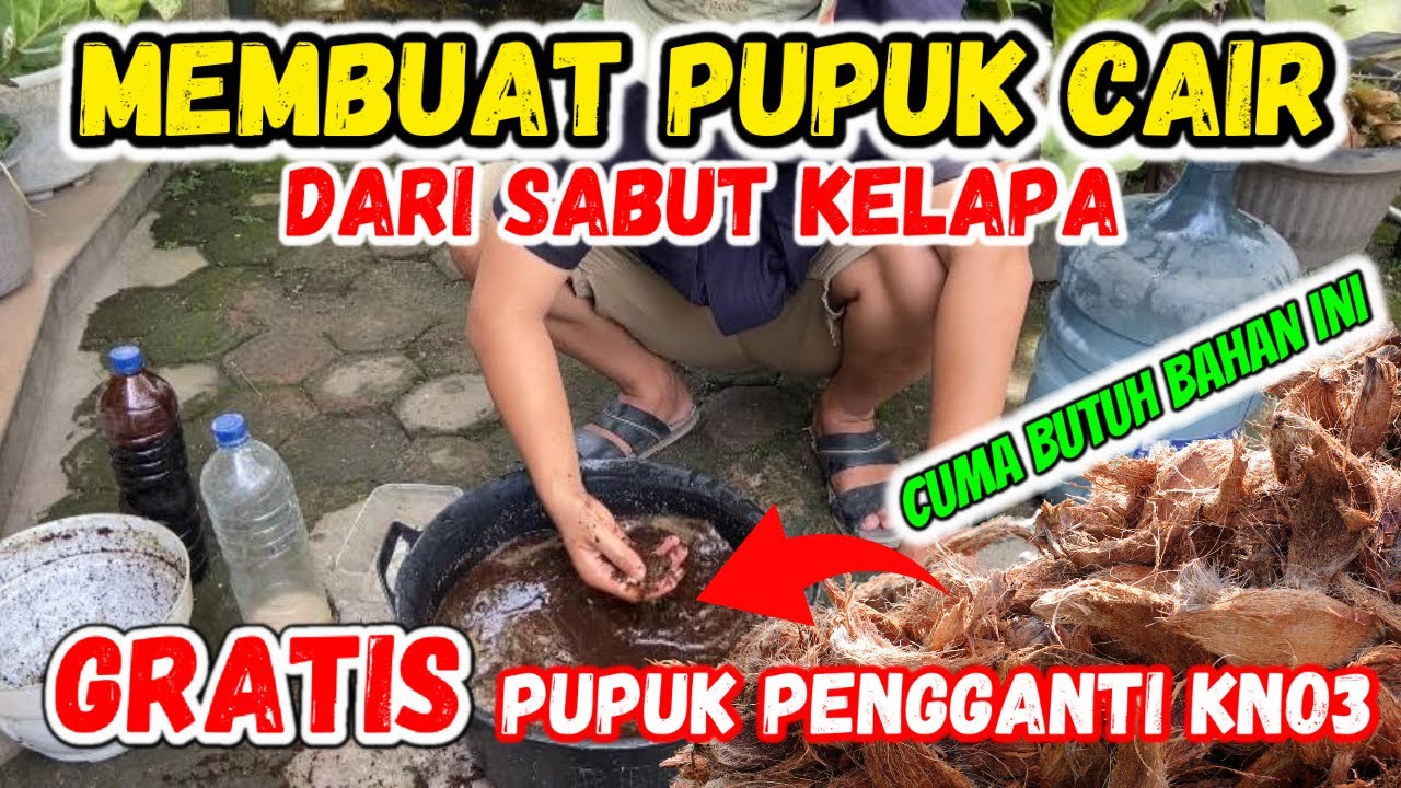 Cara Membuat Pupuk Organik Cair Tinggi Kalium Dari Sabut Kelapa #pupukorganik