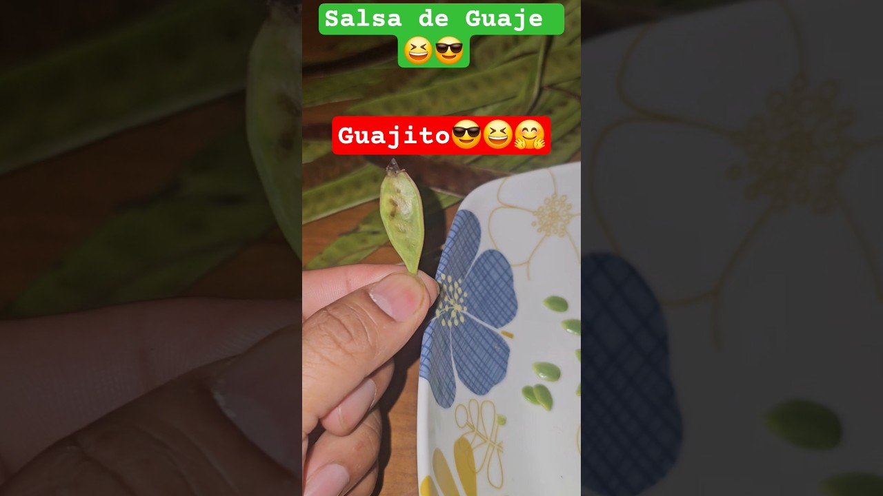 #TheAndyG7 #humor #Guaje #gro #guerrero #estadodeguerrero #mexico #food #mexicanfood #comida #1mil