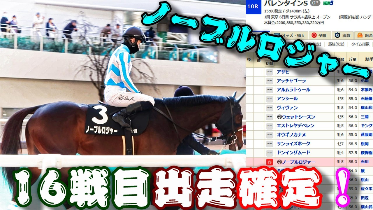 【一口馬主】ノーブルロジャー、16戦目バレンタインS出走確定！-重賞挑戦は叶わずも良好な状態を保ち迎える明け5歳初戦、頼れる鞍上とのコンビ継続で更なる飛躍に向け府中にて好勝負を-【ノルマンディーOC】