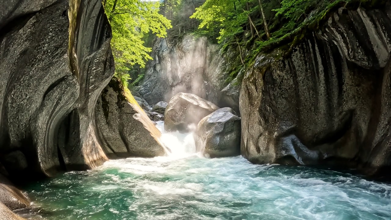 Calm Forest River Flowing with Beautiful Bird Sounds,Relax and Calm Yourself,ASMR#01