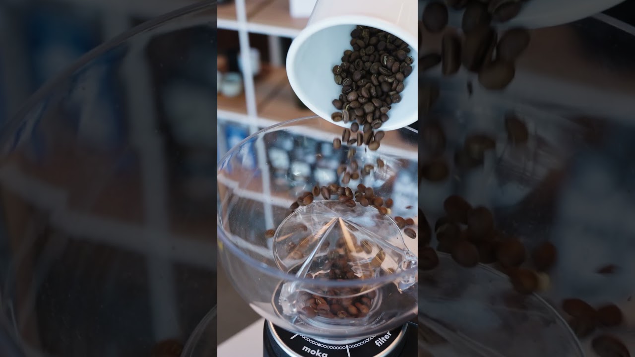 FIORENZATO ALL GROUND COFFEE GRINDER | Eight Ounce Coffee 