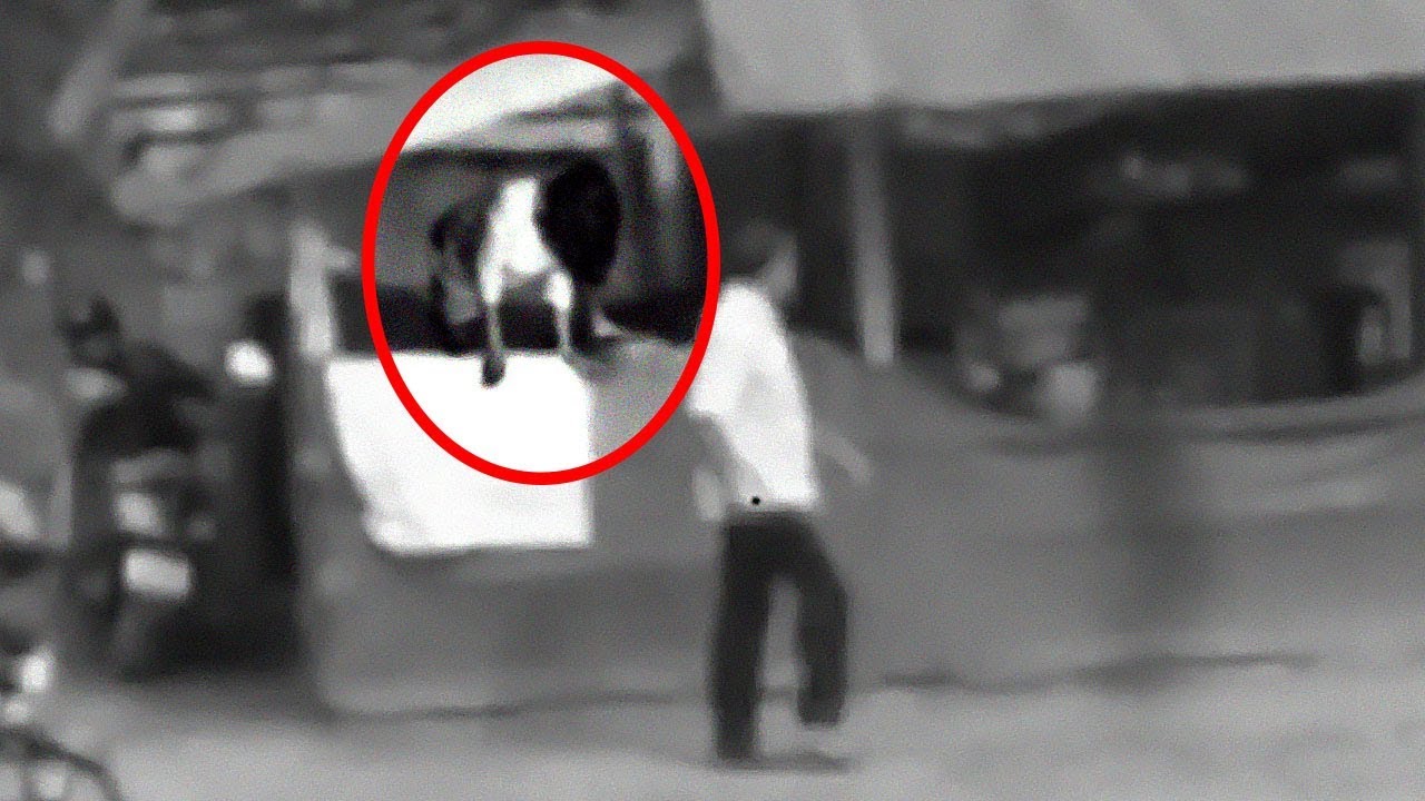 Most Haunted Farm Houses Caught On Tape | Creepy Scary Ghost Sightings!!