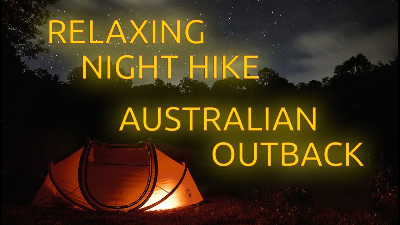 A Night Walk in the Australian Bush &bull; Peaceful Nature Sounds with Video to Relax &bull; Stress Relief