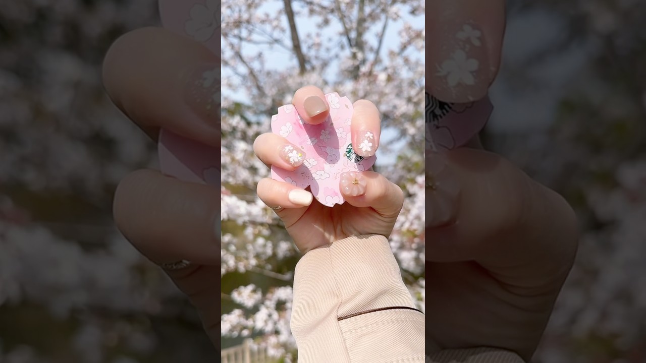 Сакура в полном расцвете 2026 | Подсветка сакуры | Ханами 2026