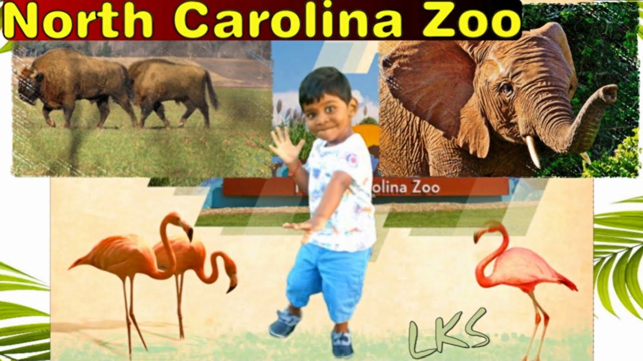 Visit to North Carolina Zoo - Asheboro, NC| அமெரிக்காவில் zoo| Zoo Tour| Tamil -தமிழ் Vlog