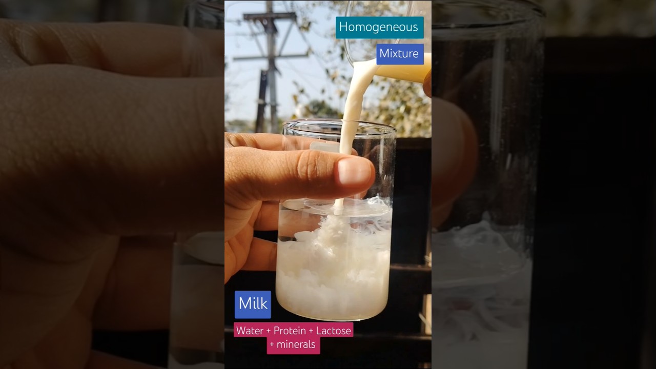 Homogeneous mixture of water and milk #shorts #shortsfeed #trending #viralvideo #trendingshort
