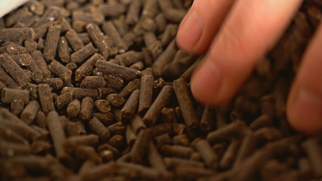 Îngrășământul organic peletizat – alternativa profitabilă la fertilizanții chimici