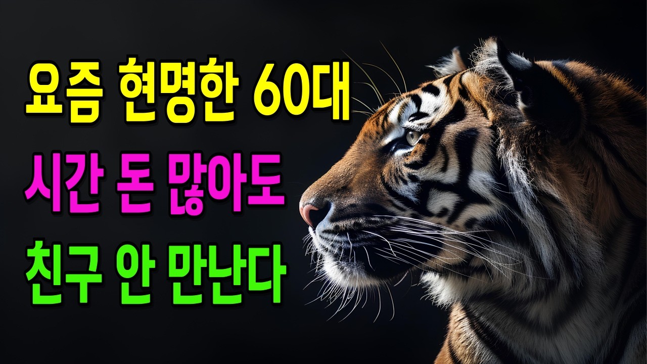 60세 넘어 친구가 사라지는 진짜 이유! 노년에 친구 없이 행복하게 사는 법!! 노후 인간관계의 비밀｜축복인생지혜