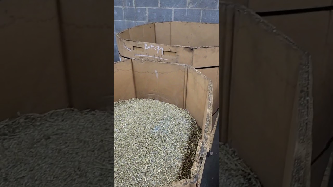 How we sort brass! #Scrap-Life #recycle #recycling #business #smallbusiness #copper #brass #metal