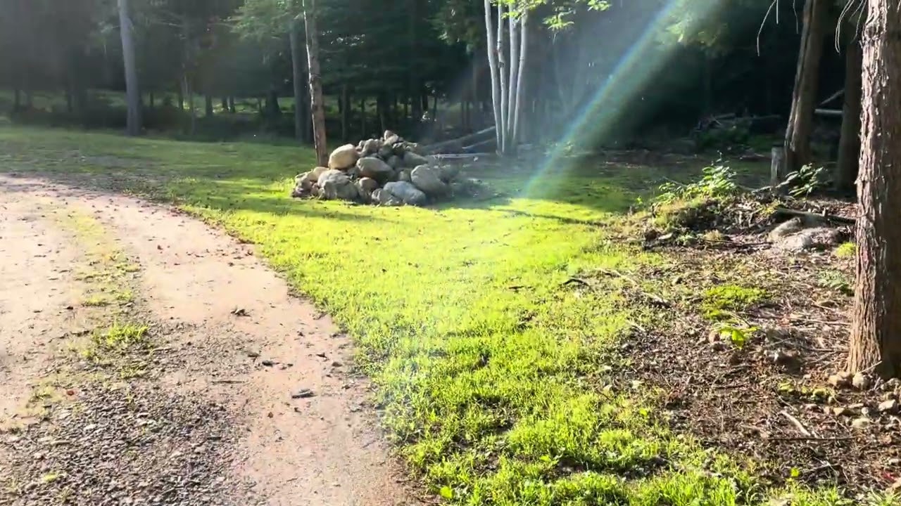 Adirondack Log Cabin Build for sale!! on 10 acres