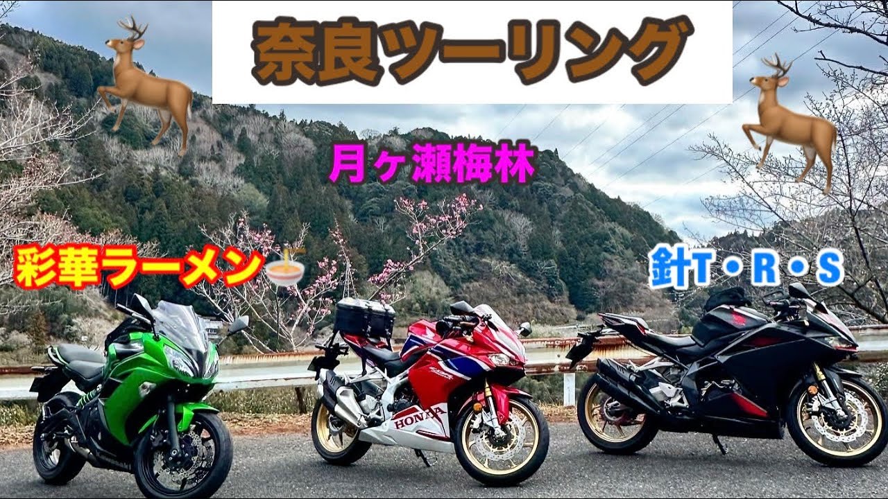 【CBR250RR×2&ninja650】で行ってみたらこんなにも道間違いするか？ってなった奈良迷走ツーリング