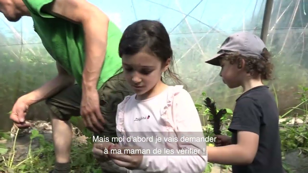 Ferme Traditionnelle Educative de Mandres-les-Roses
