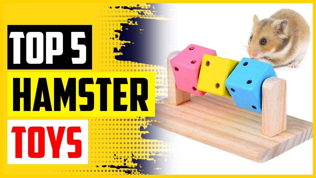 Top 5 Best Hamster Toys In 2022