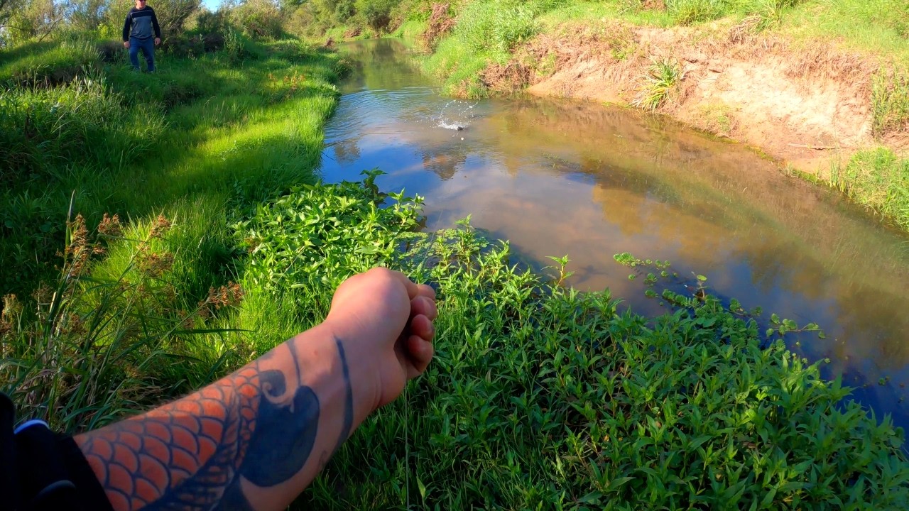 🎣 PESCA DE BARRIO - TODOS LOS VIDEOS - TEMPORADA #1 🎣