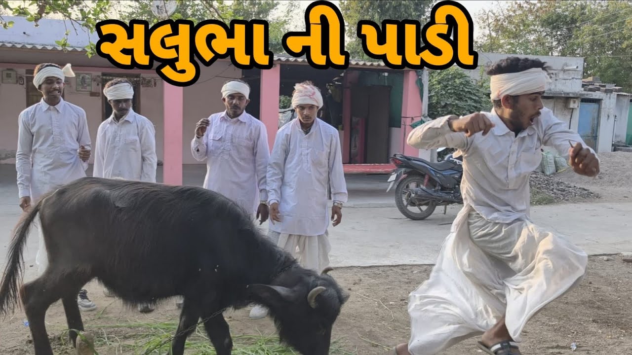  સલુભા ની પાડી 😂 ||ગુજરાતી કોમેડી વિડિઓ || GUJRATI COMEDY VIDEO  2026 TRANDING || NEW VIDEO ||