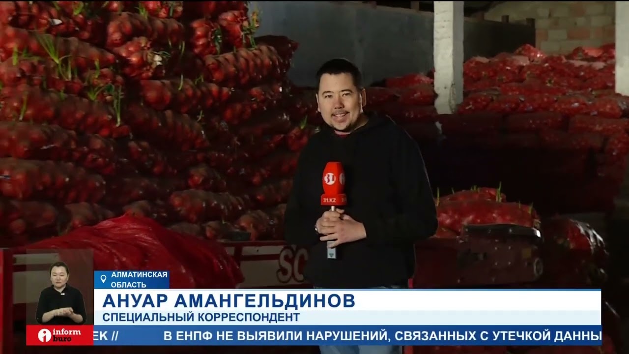 Тысячи тонн сгнившего лука намерены высыпать у здания акимата Алматинской области