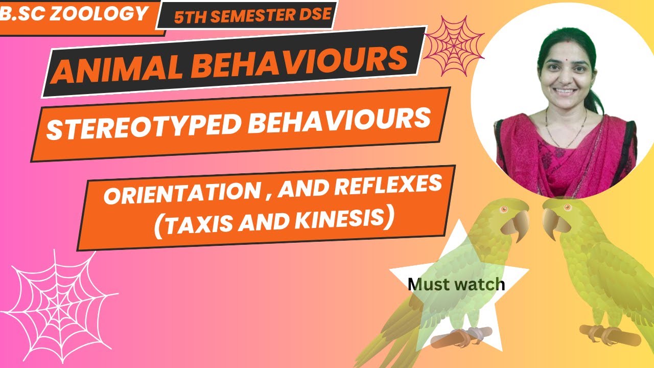 Stereotyped Behaviours (Orientation, Reflexes) Animal Behaviour and Chronobiology||#bsczoology
