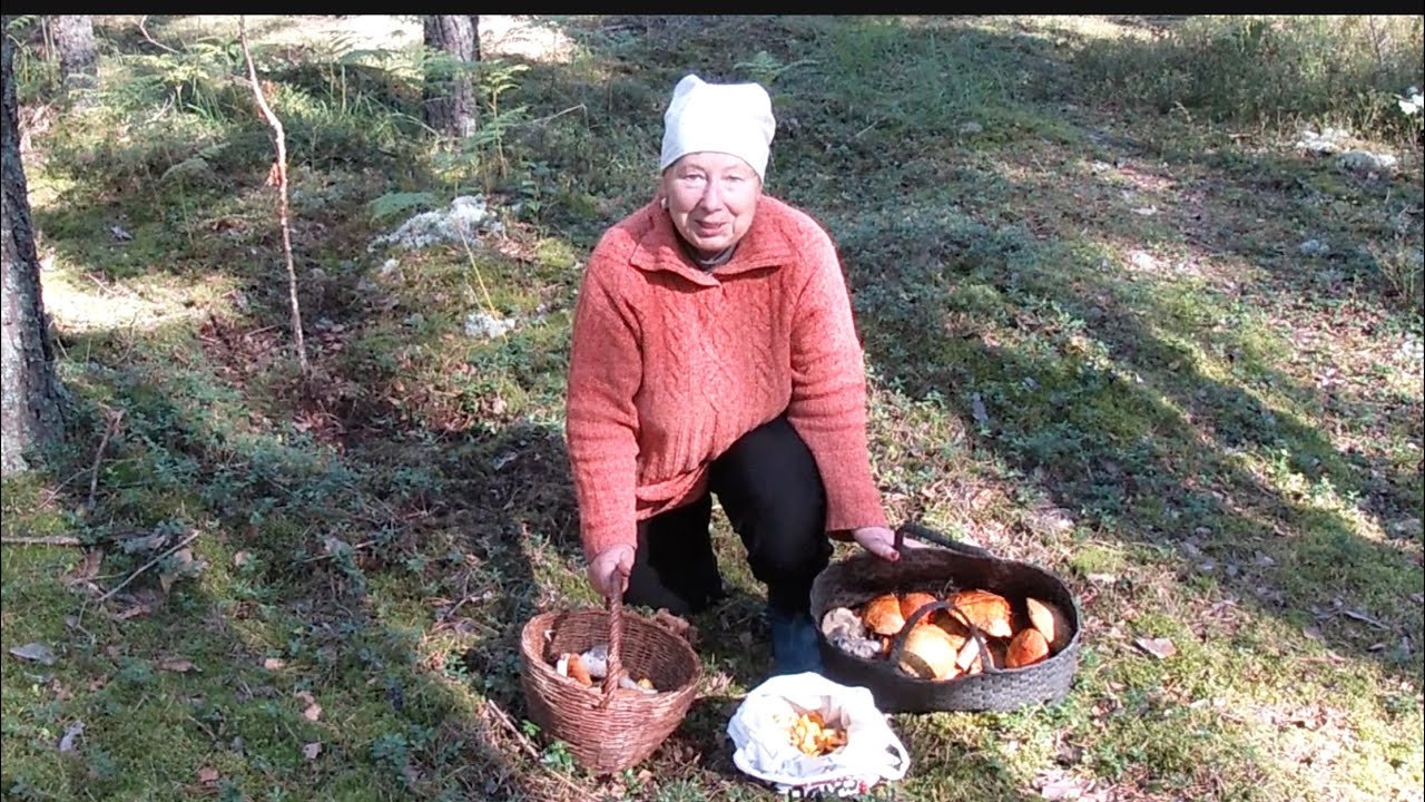 Їжовики, краснюки, бабки, лисички, сироїжки... ЩО ЩЕ ТРЕБА ДЛЯ ПОВНОГО ЩАСТЯ?🙂