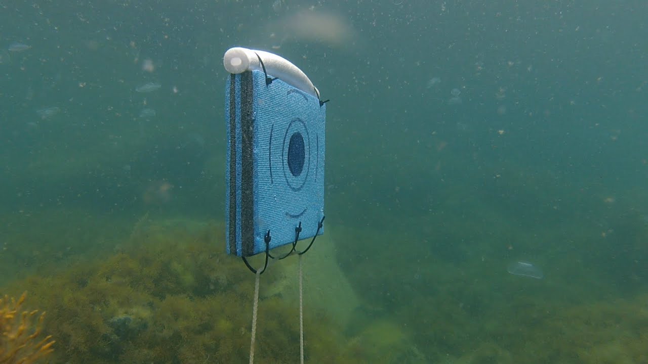 Отстрел тяжей Salvimar Eptagum S600 на арбалетах Salvimar Hero Storm 95 и Salvimar Metal 75.