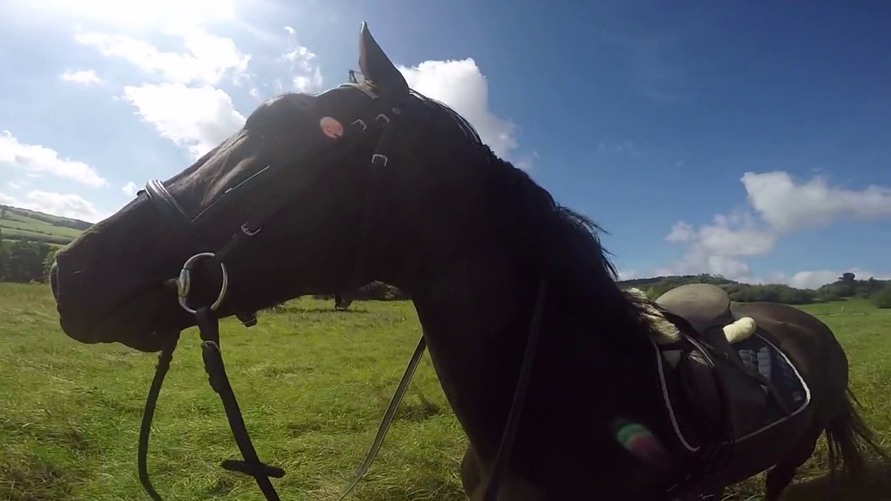 Sturz vom Pferd, festgehalten mit der GoPro
