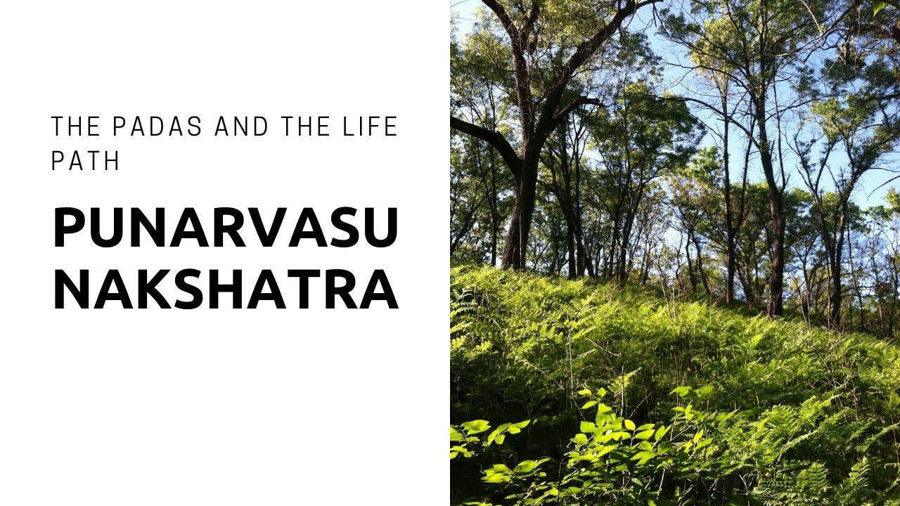 Punarvasu Nakshatra: The Padas and the Life Path