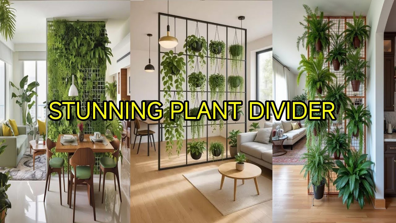 Best plant partition ideas to beautify your room | green divider designs 🟢🟢
