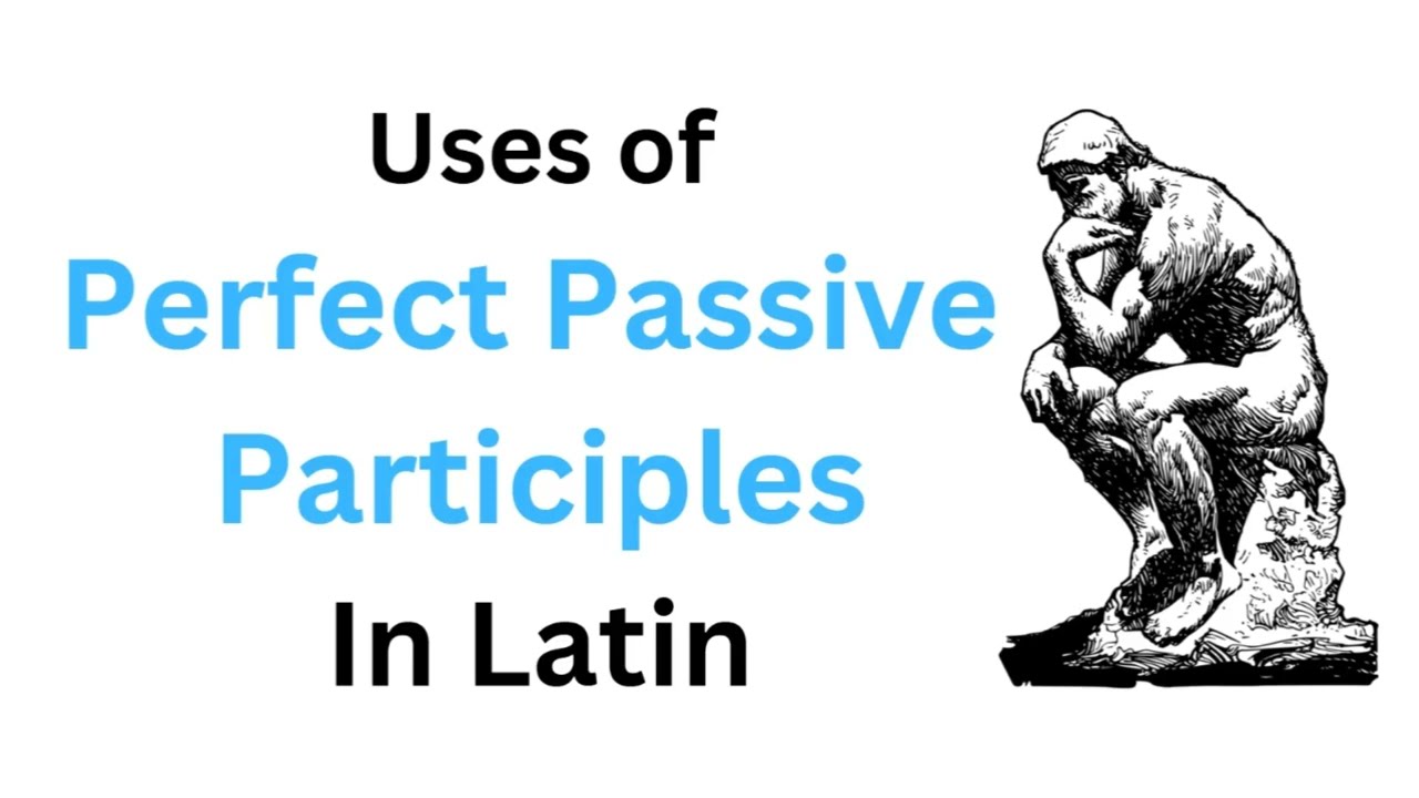 Uses of Perfect Passive Participles in Latin