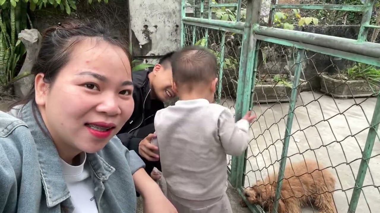Hoài Dẫn Coca Đi Trêu Chó Cười Chẩy Nước Mắt