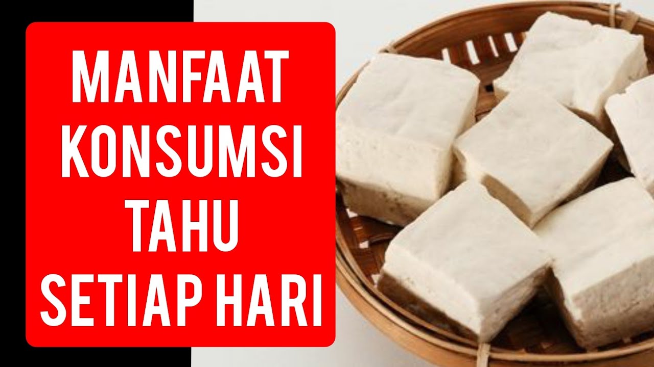Manfaat konsumsi tahu setiap hari #tahu