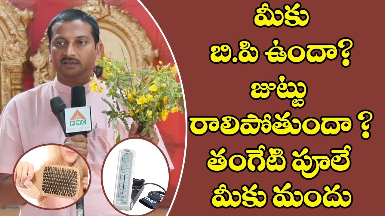 How To Reduce BP And Hair Fall Naturally | Dr Ravi Varma Ayurvedam | PMC Telugu