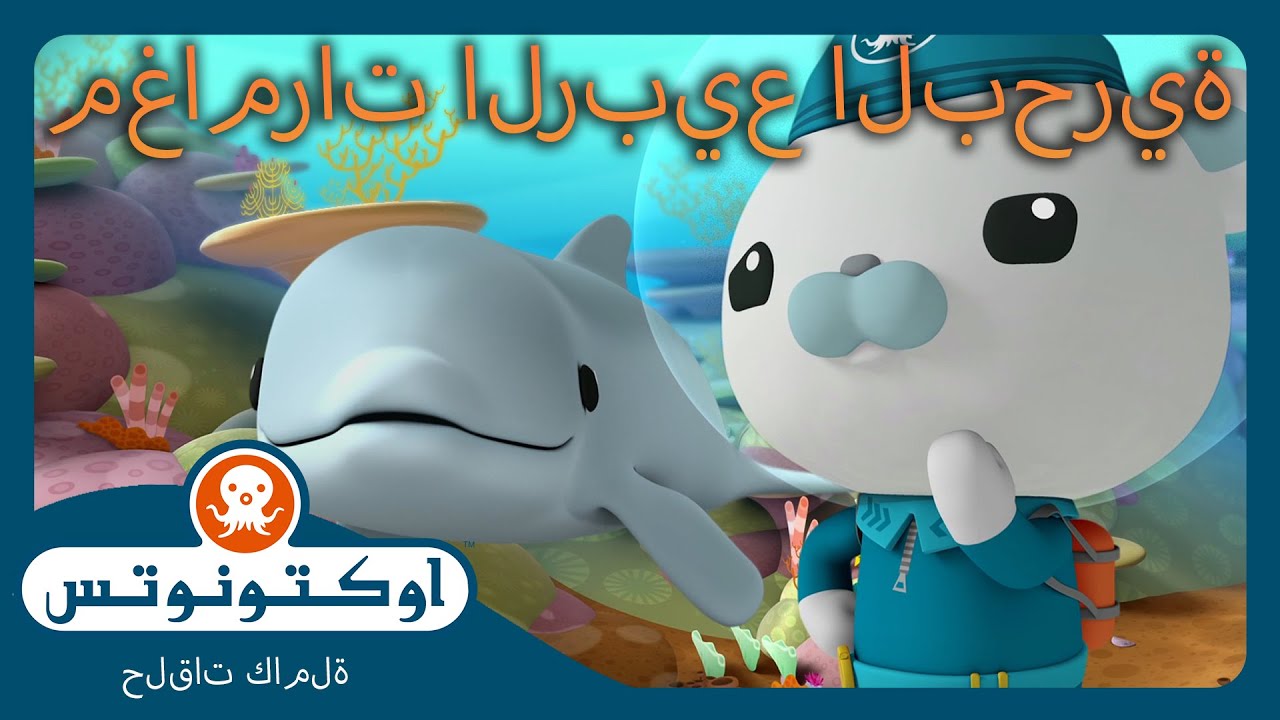 أوكتونوتس | 🌸 مغامرات الربيع البحرية! 🐠 | حلقات مجمعة