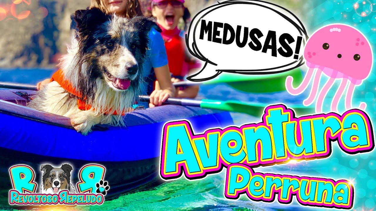 🐾 El Primer BAÑO de mi PERRO en la PLAYA con KAYAK 🛶 Cómo reacciona mi perrito 🐟 Aventura PERRUNA