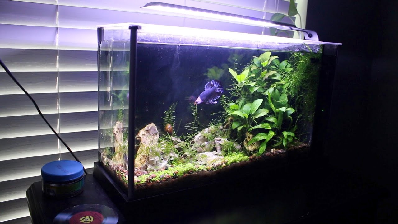 Spec 5 Gallon — обновление за апрель 2020 г.