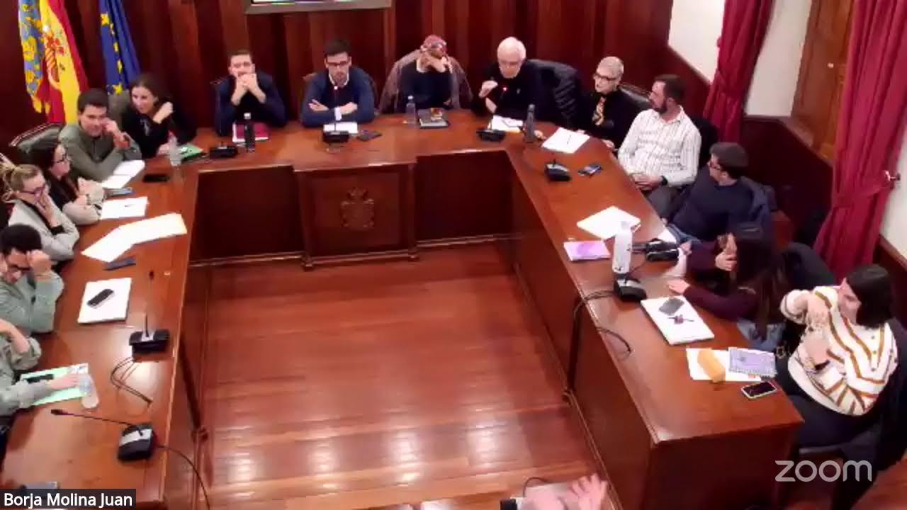 Ple ordinari