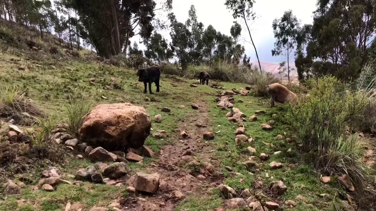 Hiking to Moray in Peru’s Sacred Valley