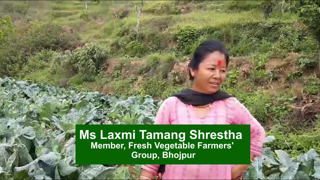 A documentary on Vegetable Supply Chain