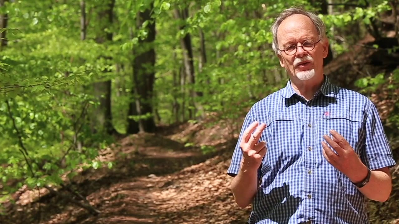 Gesundheitsakademie Placebo mit Dr. med. Axel Sutter