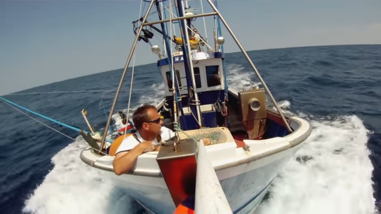 Les derniers canneurs (pêche au thon)