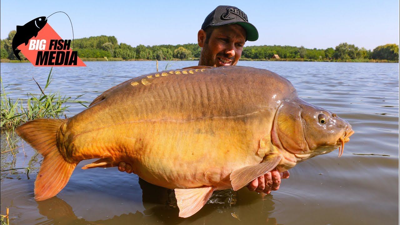 Eine Woche Karpfenangeln - Ungarn Carp Heaven